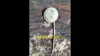 Just Wanderin #88 Metal detecting an old homesite!!