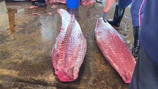 Amazing huge bluefin cutting skills 5of8