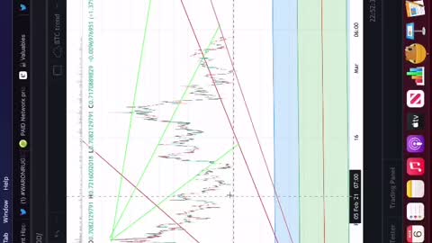 PAID NETWORK RUG PULLED 📉