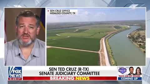 This is utter chaos: Ted Cruz