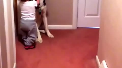 Baby scared of vacuum runs to dog for protection