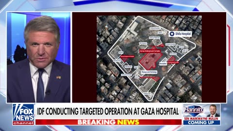 Rep Mike McCaul: This shows what cowards Hamas are