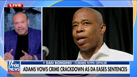 Dan Bongino Skewers NYC Mayor Eric Adams Over Crime Spree