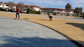 Dude and Dog Skate Together