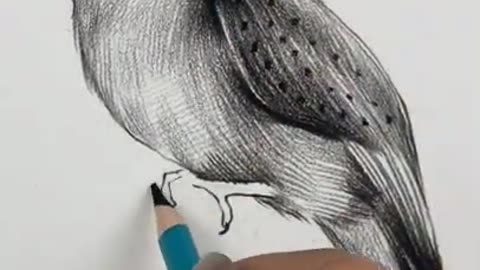 Amazing Pencil Drawing 3D Art | Satisfying Drawing Videos #14