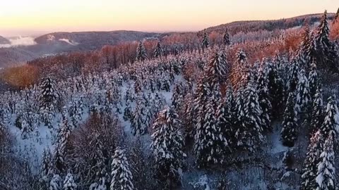 "Embracing Nature's Beauty: A Journey Through the Wilderness"