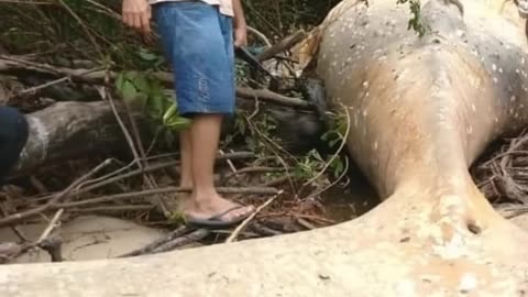Mysterious Things Found In Forest..!🔥😳