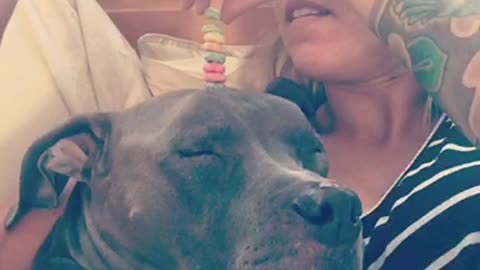 Woman stacks cereal on top of sleeping dog's head