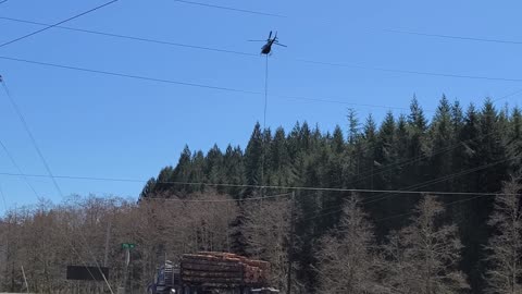 Helicopter powerline Tree Trimming 2