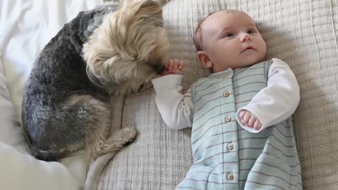 Dog Sitting Beside a Baby