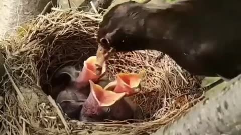A mother being a mother!
