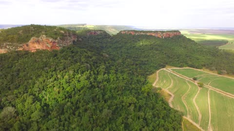 Pedra Branca (morro do unhudo)