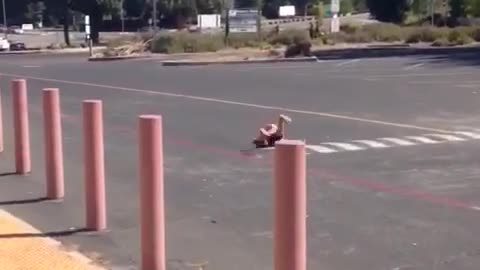 Little boy in red orange hat falls