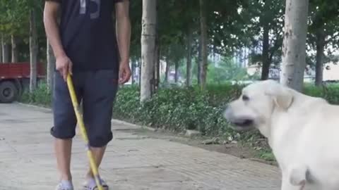 Dog saved life to blind Man