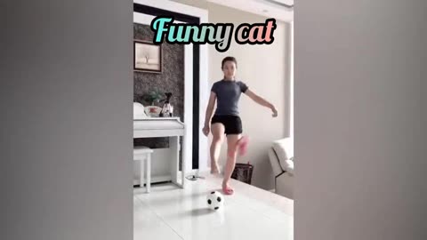 Funny Animals video 😁😁😁😀😃🤣