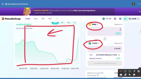 Liquidity Provide | Risk Profit for trust wallet | How To Make Liquidity Provider | Explorer UB