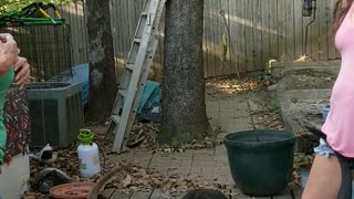 Dog is Protective of His Mother