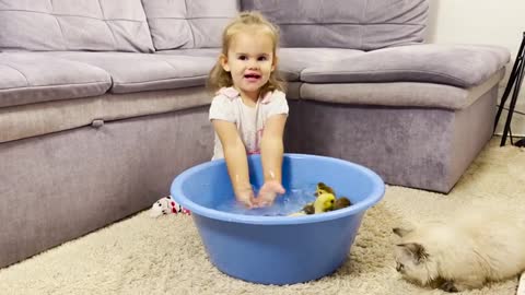 Cute_Baby_Playing_With_Baby_Ducklings_Compilation