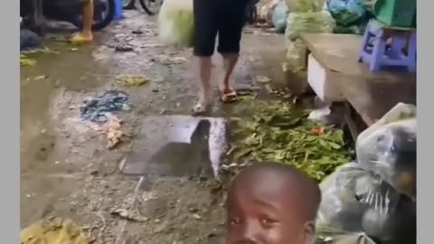 Funny video🤣🤣🤣🤣