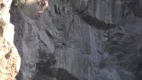 Guy backflips off of rocks belly flop loop