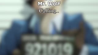 Mr. Wolf The Bad Guy calling #animal #pet