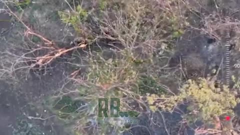 Drone Operator Discovers Two Ukrainians Hiding in a Bush