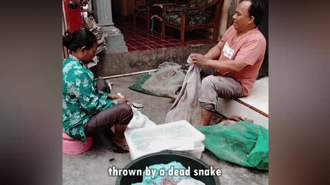snake charmer