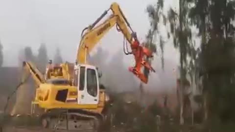 How to cut big tree at once #shorts
