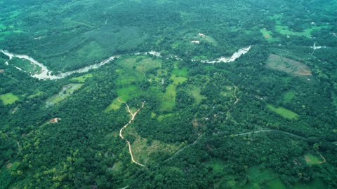 Aerial View | Indian Village and Rain Forest