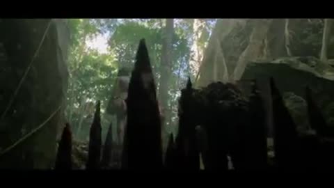 In Like Flynn - Dangerous Forest best movie clip