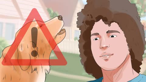 Make a Golden Retriever Stop Barking