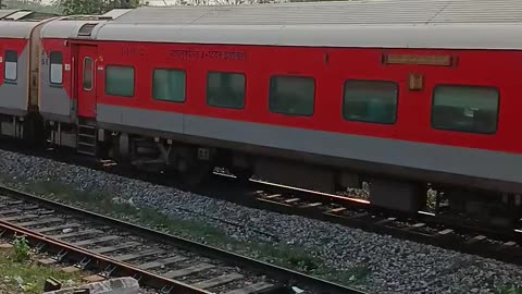 Indian Train