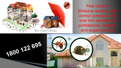 7 Days Pest Control