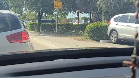 Chickens spotted in south Florida