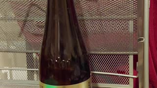 Beer Review #28 Orion Japanese Pilsner