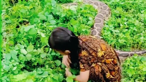 Little girls play python snake