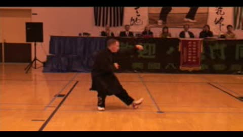 Northern Praying Mantis Kung Fu 2005-6