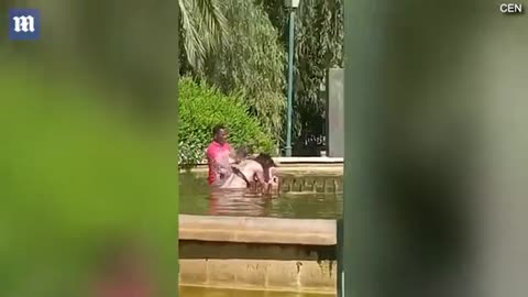 Hero bystanders save woman from being drowned in a public fountain in Spain