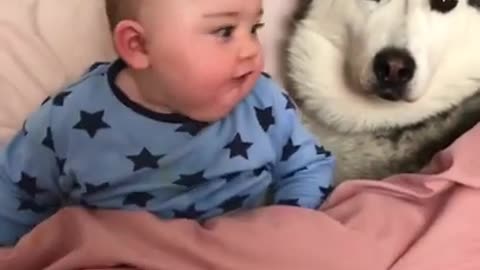 My Husky baby Promised from Day 1 she would always Protect my Baby! [CUTEST VIDEO EVER]