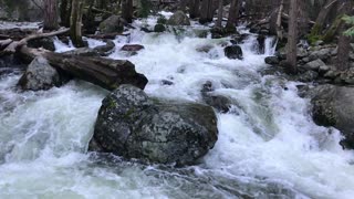 Yosemite, Bridalveil Fall