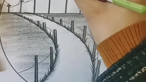 Beatiful pencil drawing