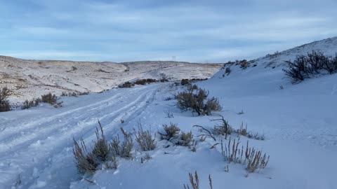 RZR with Tracks