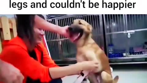That's one happy dog 🐶 amazing