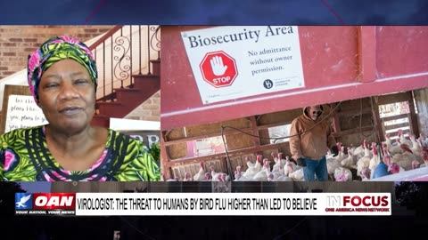 IN FOCUS: Former CDC Director Warns Bird Flu is Next Pandemic with Dr. Stella Emmanuel - OAN