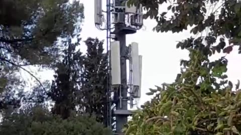 5G towers are erected everywhere poisoning with EMF radiation