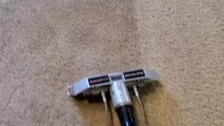 Dirty Carpets Getting Clean