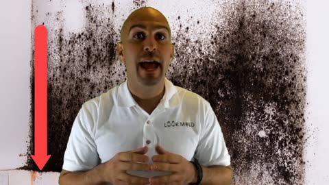 LookMold - Black Mold - How To Kill Toxic Mold In Under 5 Mins!