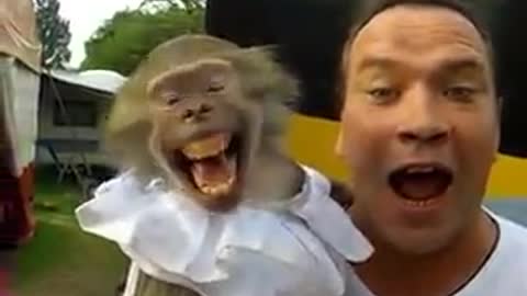 Smart monkey screaming