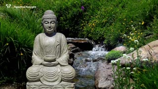 Relaxing Music for Inner Peace| Meditation Music, Yoga Music, Zen Music