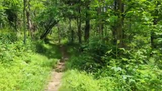 Appalachian Trail through hike 2023 Day 86